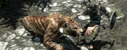 Elder Scrolls V: Skyrim, The - Очередное обновление и новая рубрика на PC.GAMER