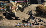 Finalfantasy_xiv_20_pub_04