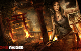 Tomb_raider_by_amirulhafiz-d57y0kj